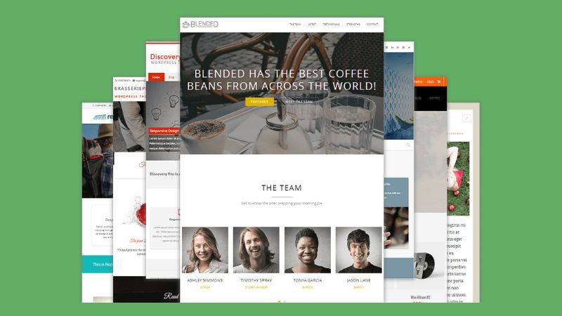 Thiết kế theme WordPress tối ưu trải nghiệm người dùng và SEO