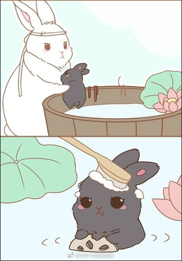 Thỏ hoạt hình chibi đang thích thú khi được tắm