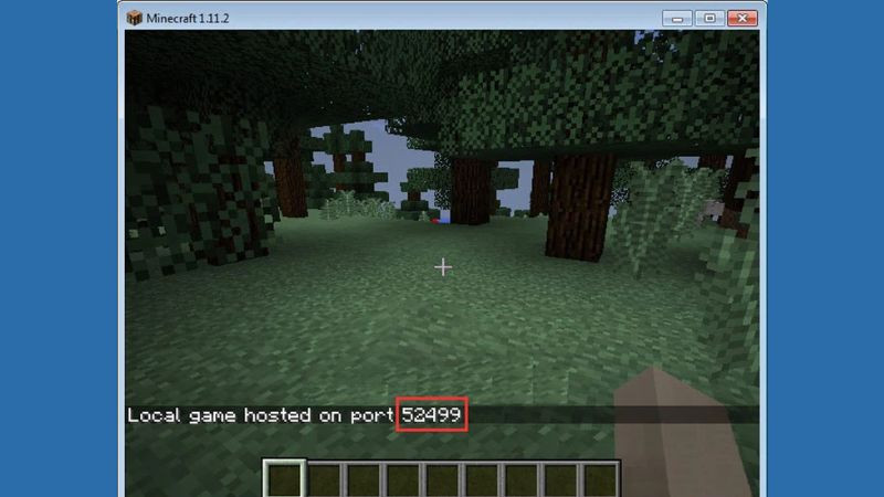 Thông báo trong game hiển thị cổng (port) mạng LAN nội bộ được mở qua Hamachi