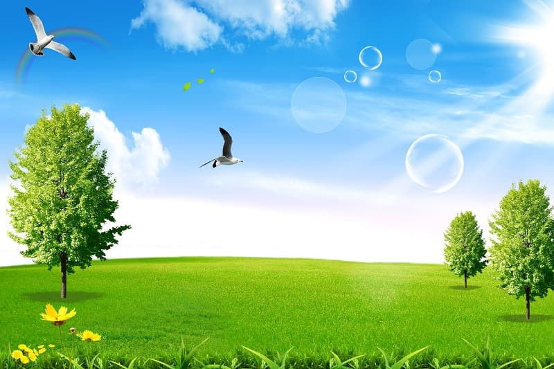 Thung lũng xanh rì dưới bầu trời trong xanh, ảnh cây xanh đồi núi