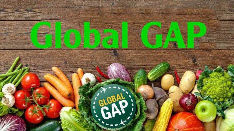 Tính toán chi phí đăng ký chứng nhận GAP dựa trên quy mô sản xuất (diện tích, sản lượng)