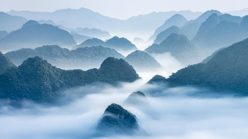 Toàn cảnh đồi chè xanh mướt trải dài, tạo nên khung cảnh yên bình