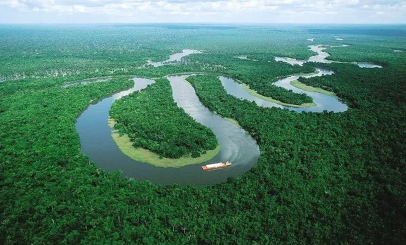 Toàn cảnh khu rừng rộng lớn với dòng sông uốn lượn chạy xuyên qua, tạo nên phong cảnh hùng vĩ