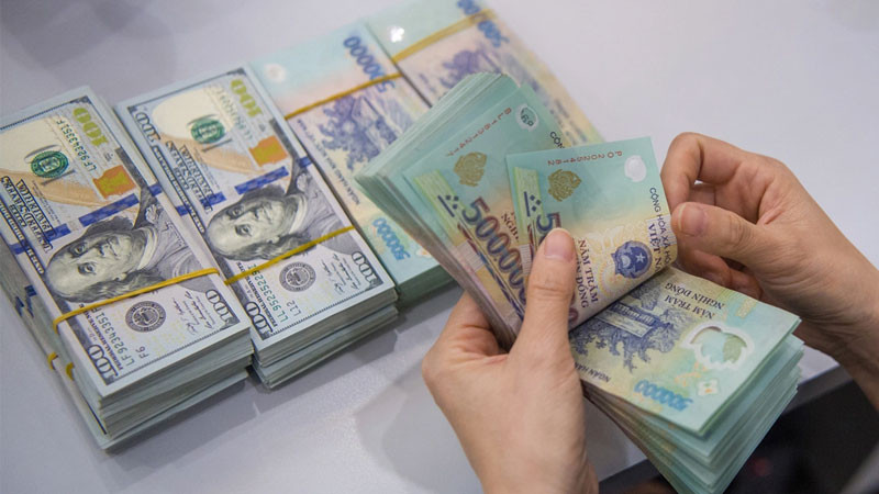 Tuyển Chọn Hình Ảnh Tiền 500k Đẹp Thịnh Vượng Toàn cảnh một người đang tập trung đếm số lượng lớn hình ảnh tiền 500k