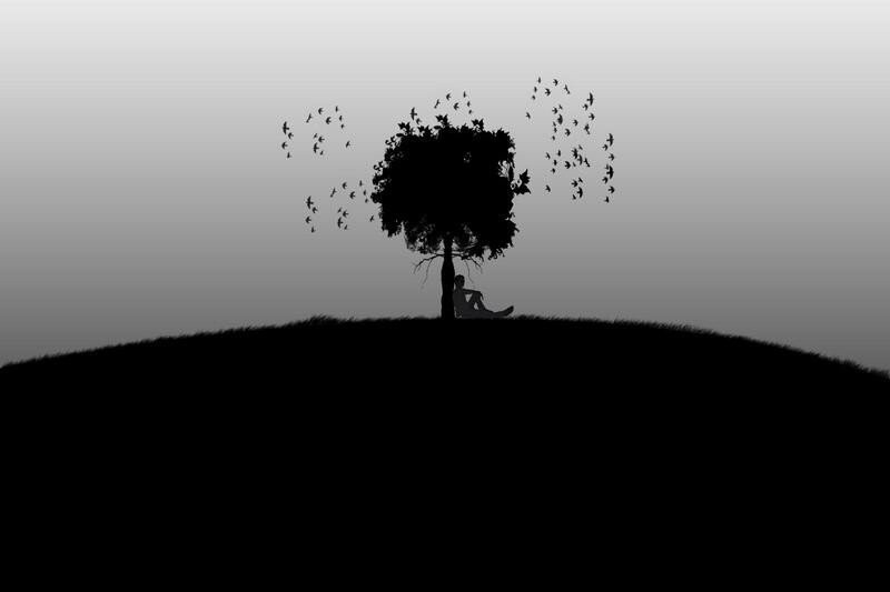 Tối giản với hình ảnh một cành cây nhỏ trên nền đen