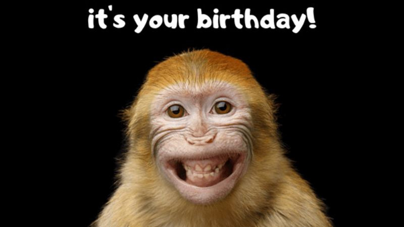 Tổng hợp ảnh chúc mừng sinh nhật bá đạo dạng meme hài hước