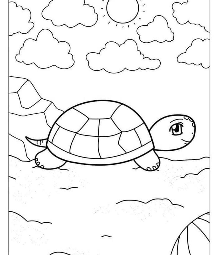 Tranh tô màu rùa đơn giản cho bé làm quen