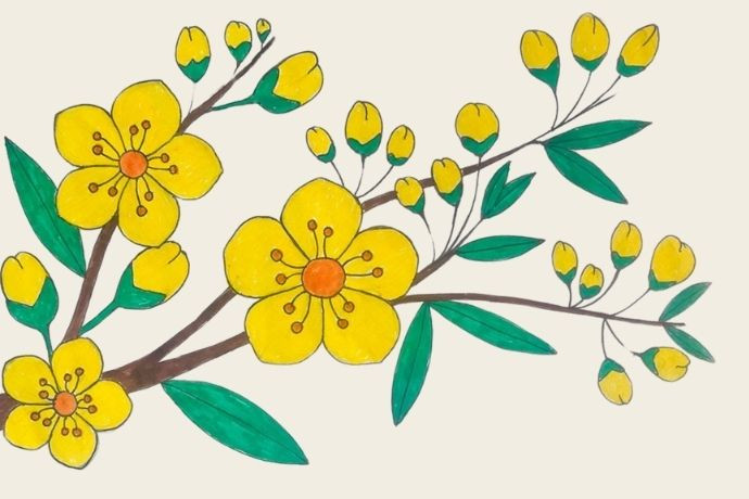 Tranh vẽ Tết đơn giản với cành đào nở rộ