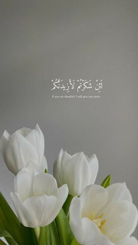 Tulip trắng cùng dòng chữ độc lạ và ấn tượng