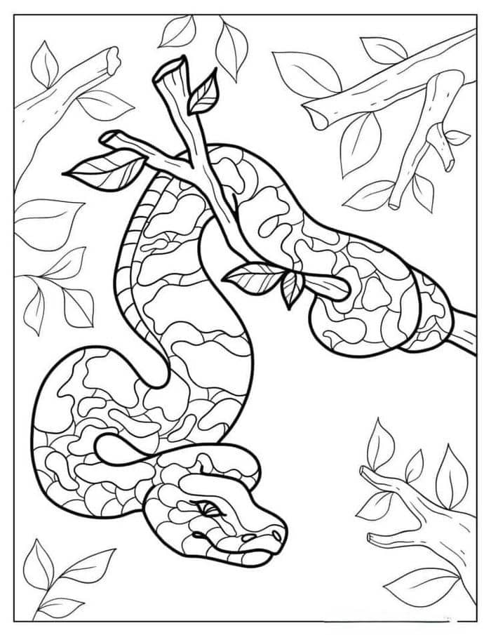 Tuyển tập tranh tô màu con rắn dành cho bé vui chơi