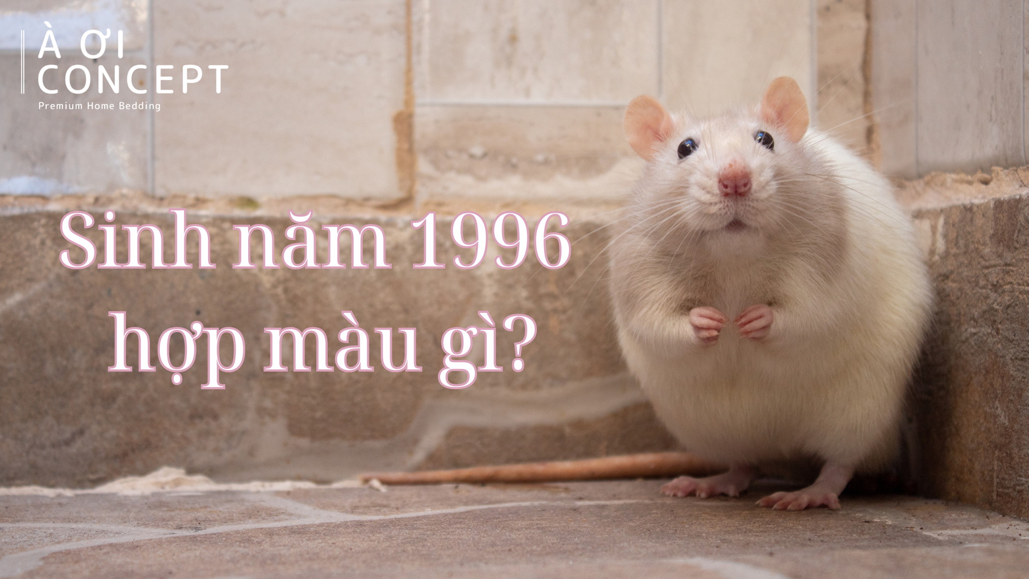 Ứng dụng các màu sắc may mắn cho người sinh năm 96 trong trang trí nội thất và thời trang