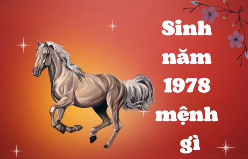 Ứng dụng màu sắc phong thủy trong không gian sống và nghệ thuật cho người tuổi 78 Mậu Ngọ 1978