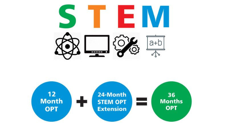 Ứng dụng thực tế của STEM được minh họa qua trò chơi Angry Birds