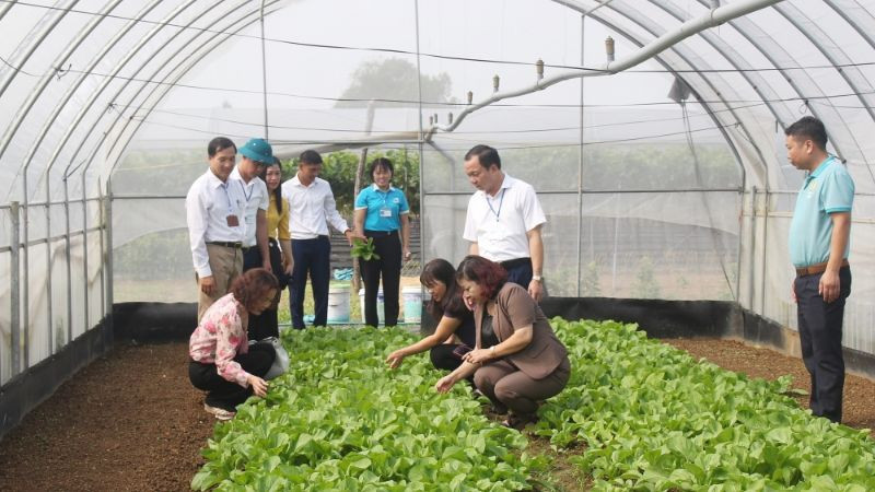 Ưu tiên lựa chọn giống cây khỏe mạnh, rõ ràng nguồn gốc theo yêu cầu bắt buộc của GAP