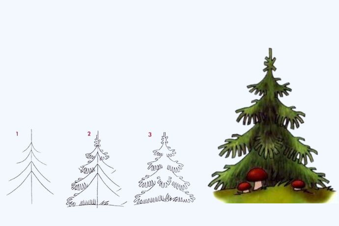 Vẽ cây thông Noel nâng cao thêm phần đẹp mắt và nghệ thuật