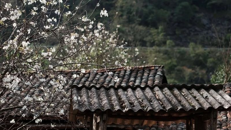 Vẻ đẹp Hà Giang vào mùa xuân