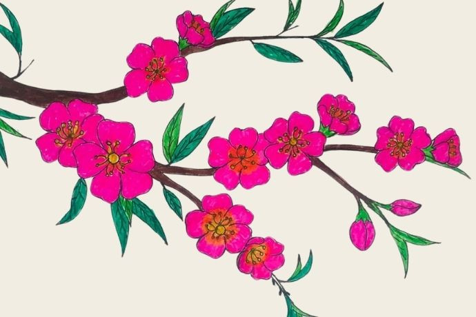 Vẽ tranh Tết đơn giản với cành mai vàng