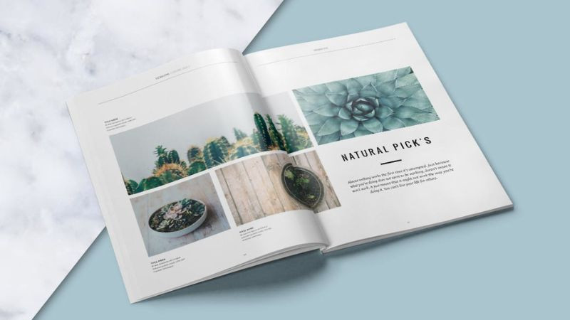 Ví dụ về banner quảng cáo trên báo hoặc tạp chí in ấn.