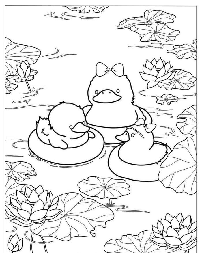 Vịt con nhỏ bơi trong hồ sen đẹp