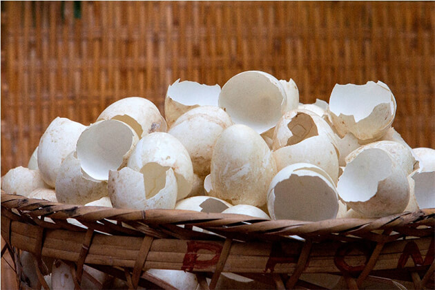 Vỏ trứng - vật liệu độc đáo trong tranh sơn mài Việt Nam