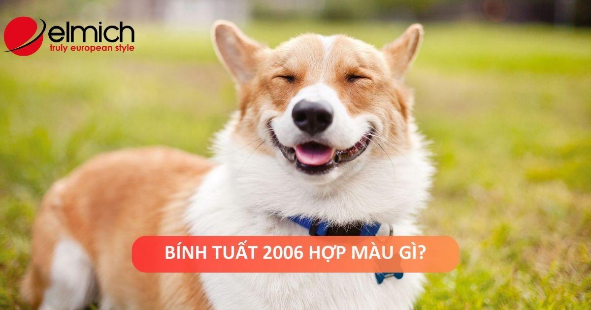 Xe màu đen không hợp mệnh hỏa, màu sắc cần tránh cho người tuổi Bính Tuất 2006.