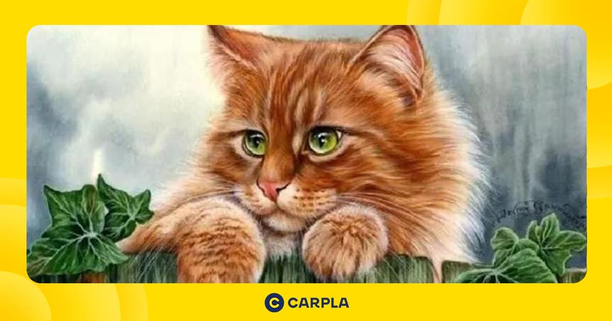 Hình ảnh xe ô tô màu vàng, màu hợp mệnh Thành Đầu Thổ của người sinh năm 1999