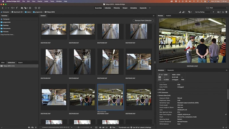 Xem trước hình ảnh và phân loại tệp bằng sao, nhãn màu trong Adobe Bridge