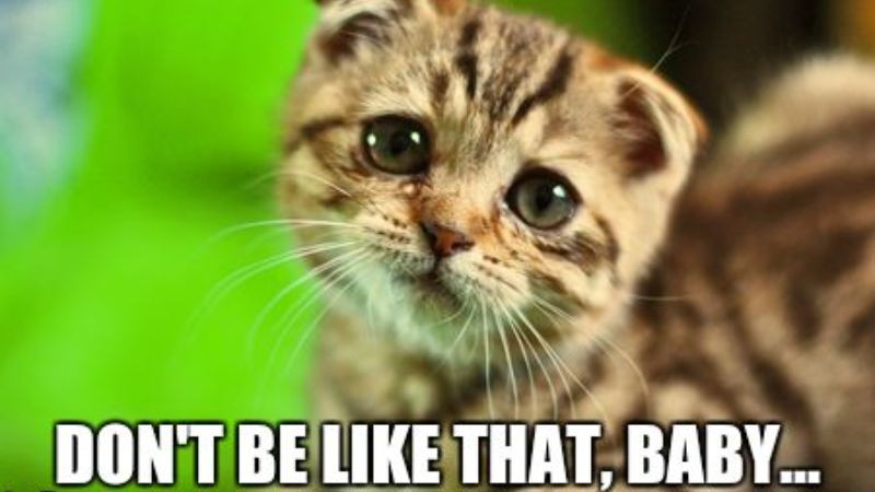 Ý nghĩa của cụm từ trái nghĩa Do not be like