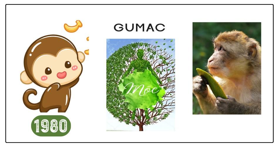 Ý nghĩa màu xanh lá cây với người sinh năm 1980 mệnh Mộc Canh Thân