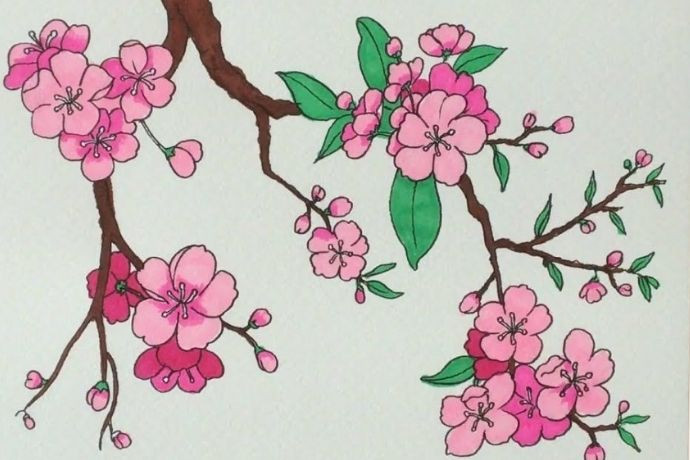 Ý tưởng vẽ tranh Tết đơn giản về chậu quất cảnh