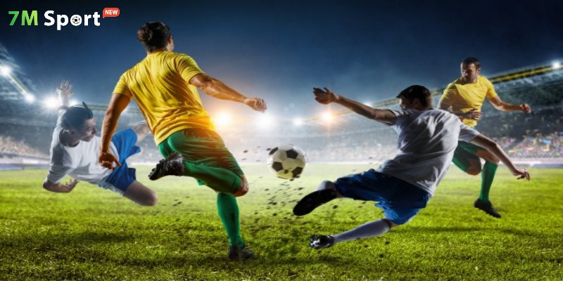 Các giải đấu trên 7M