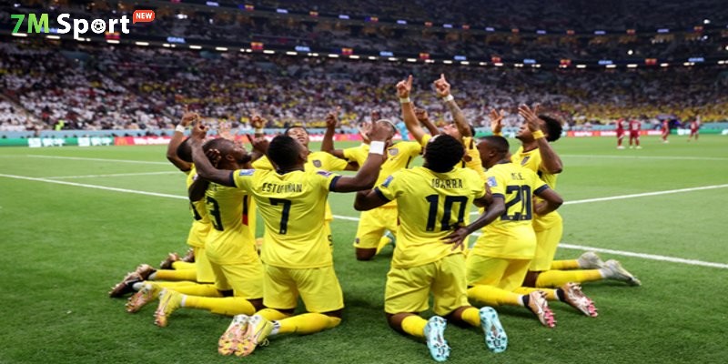 Cách truy cập và theo dõi các trận đấu trên link 7M