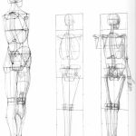 Giải phẫu hình thể cho các bạn ôn thi khối H ( Phần 1 )