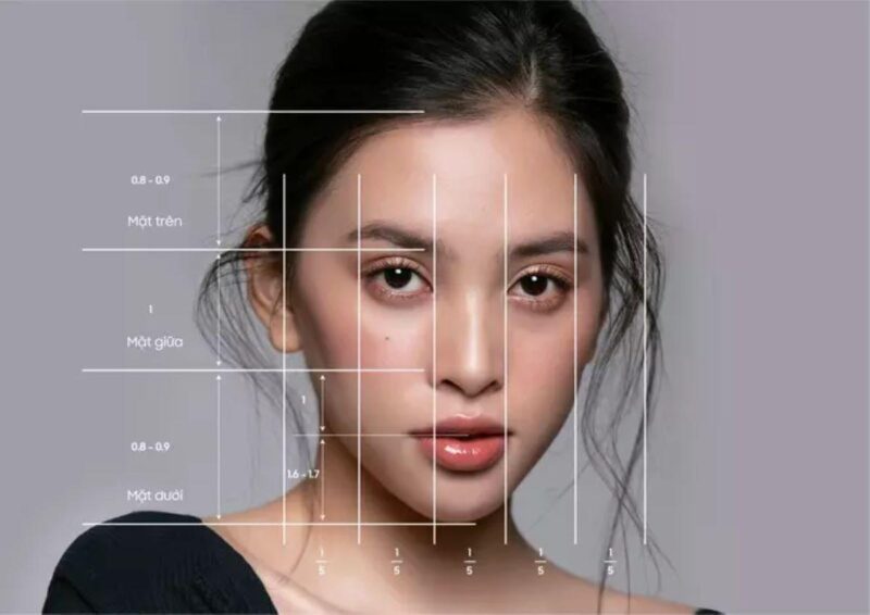 Minh họa chi tiết hình dáng tiêu chuẩn của chân mày cánh cung và các điểm vàng trên khuôn mặt