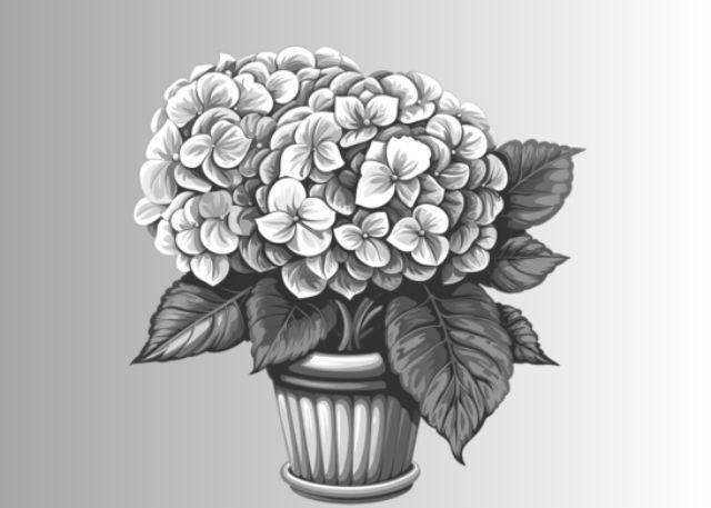 Dụng cụ cơ bản cần thiết để bắt đầu học cách vẽ hoa cẩm tú cầu đơn giản tại nhà