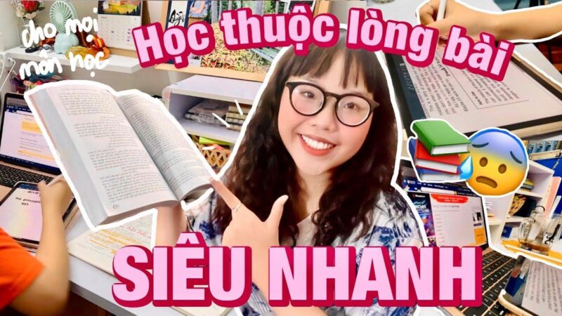 Bộ dụng cụ cơ bản cần thiết để bắt đầu học cách vẽ con mèo dễ nhất cho người mới làm quen