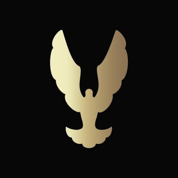 Không gian kiến trúc là gì được thể hiện qua nội thất hiện đại và tinh tế với nhiều ánh sáng