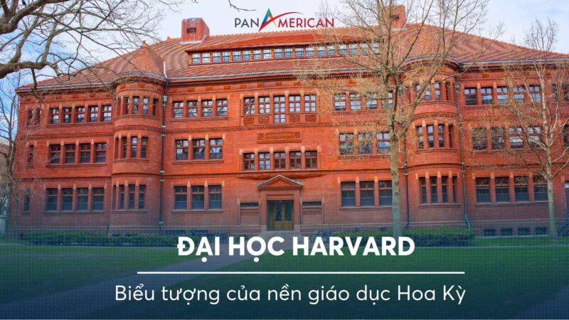 Không gian cổ kính và đầy cảm hứng nghệ thuật tại khuôn viên một trường đại học mỹ thuật ở Hồ Chí Minh