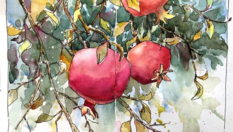 Bộ sưu tập lá cây đa dạng màu sắc và hình dáng chuẩn bị cho việc vẽ tranh bằng lá cây