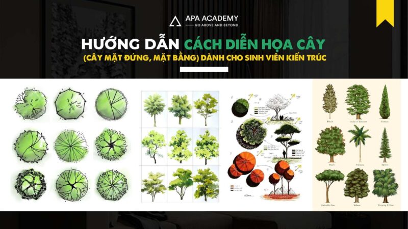 Phác họa hình dáng tổng thể và tỷ lệ cân đối của cây xanh khi bắt đầu vẽ