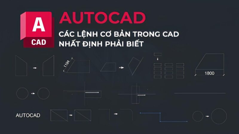 Phác thảo khung chữ nhật cơ bản và các đường gióng để vẽ chữ B in hoa cân đối