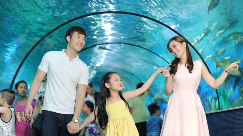 Hình ảnh thế giới cổ tích mỹ thuật 8 vẽ nàng tiên cá dưới đại dương lung linh huyền ảo