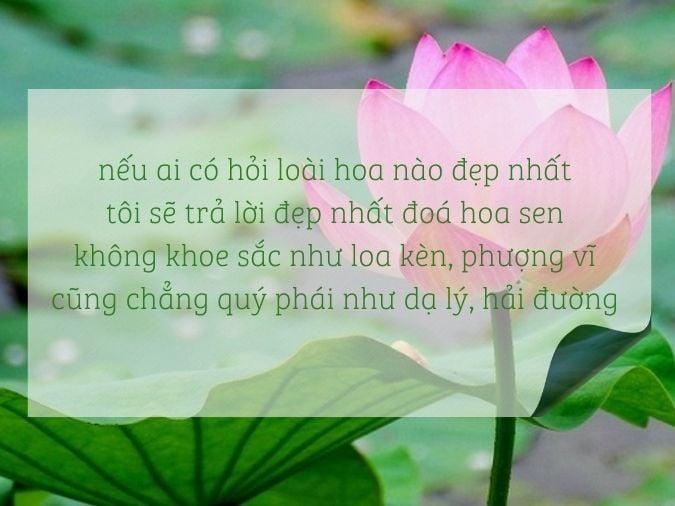 Tranh vẽ cô gái Việt Nam mặc áo dài trắng tinh khôi duyên dáng bên hồ sen thơm ngát