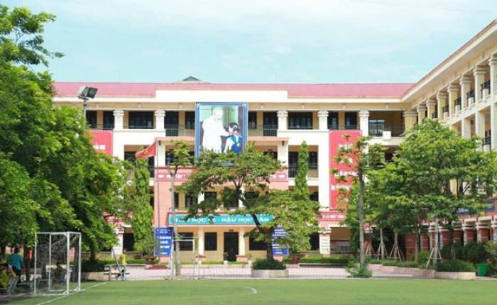 tranh vẽ cô giáo và học sinh đẹp trong một hoạt động ngoại khóa vui vẻ và ý nghĩa tại sân trường rợp bóng cây