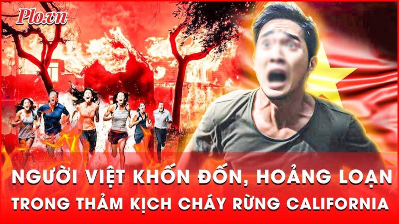 Sức Mạnh Cảnh Tỉnh Từ Tranh Vẽ Chặt Phá Rừng Tranh vẽ nạn phá rừng hoang tàn với những gốc cây bị đốn hạ và mặt đất khô cằn