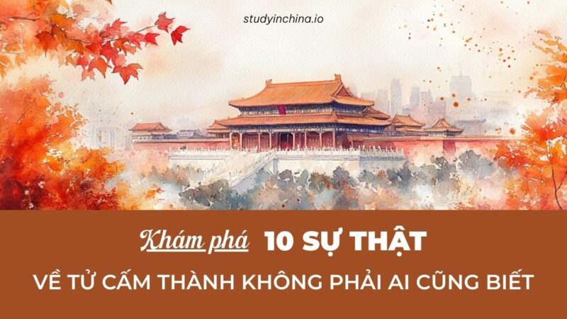 Tử Cấm Thành Bắc Kinh Trung Quốc một góc nhìn toàn cảnh uy nghi với mái ngói vàng đặc trưng