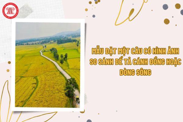 Tranh vẽ cánh đồng lúa chín vàng óng ả dưới ánh nắng mặt trời mùa gặt