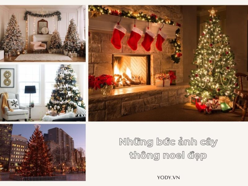 Nguồn cảm hứng bất tận để vẽ cây thông Noel từ thiên nhiên và truyền thống