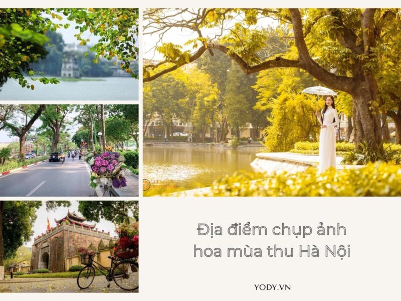 Khám Phá Vẻ Đẹp Bất Tận Của Tranh Vẽ Cây Xanh Đẹp Tranh vẽ cây xanh cổ thụ to lớn tỏa bóng mát rực rỡ dưới ánh nắng ban mai