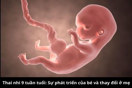 Hướng dẫn vẽ chi tiết các bộ phận trên gương mặt lân Trung Thu như mắt, mũi, miệng